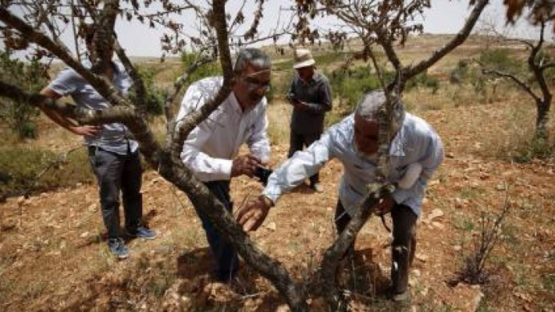 منظمة إسرائيلية تتهم الجيش بالتستر على تجاوزات الجنود