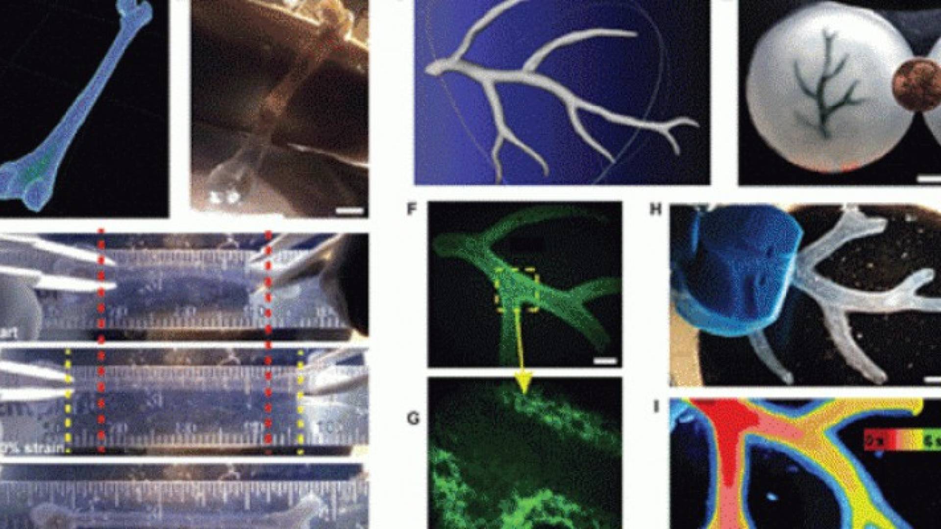 طابعة ثلاثية عالية السرعة للخلايا الجذعية