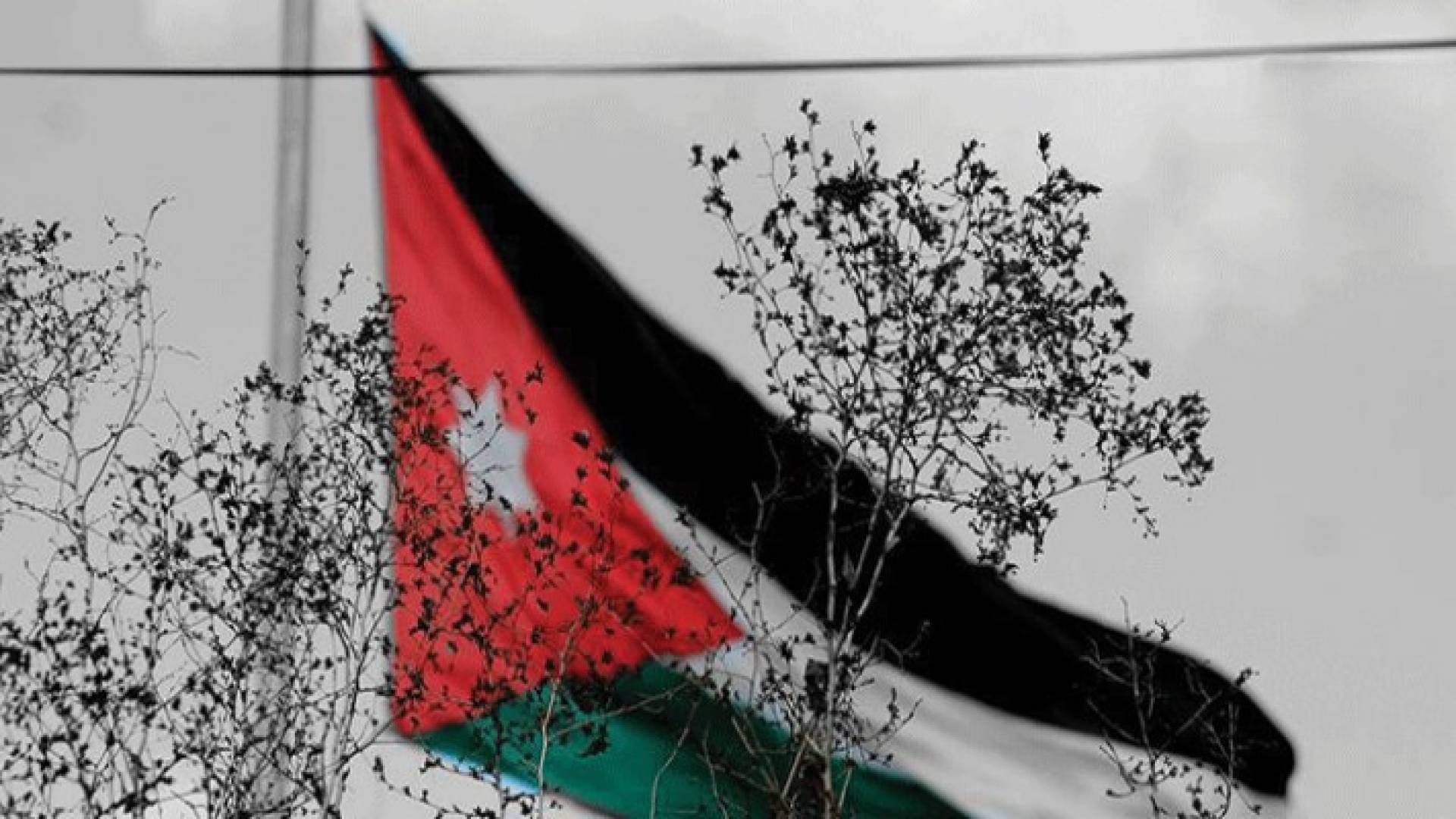 تقرير: قوة الأردن في ملكها وجيشها .. تفاصيل