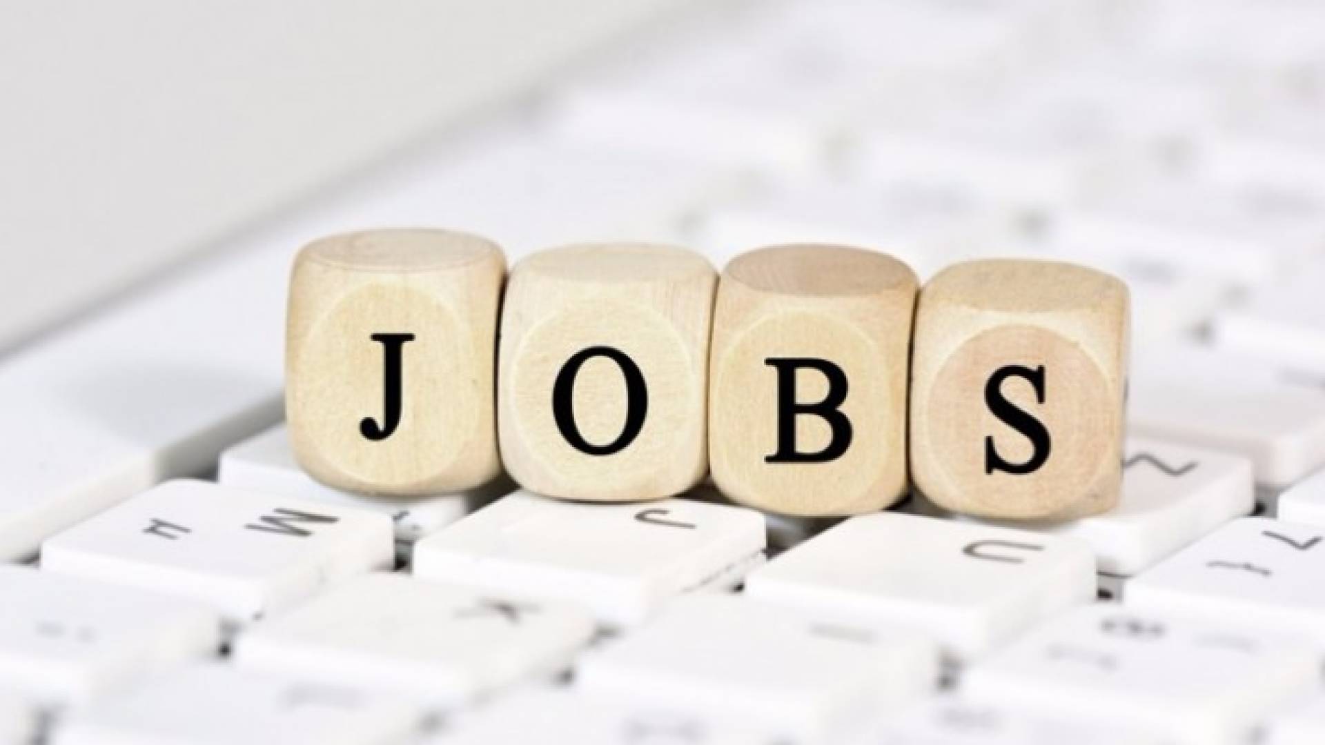 فرص عمل للأردنيين في الكويت .. تفاصيل