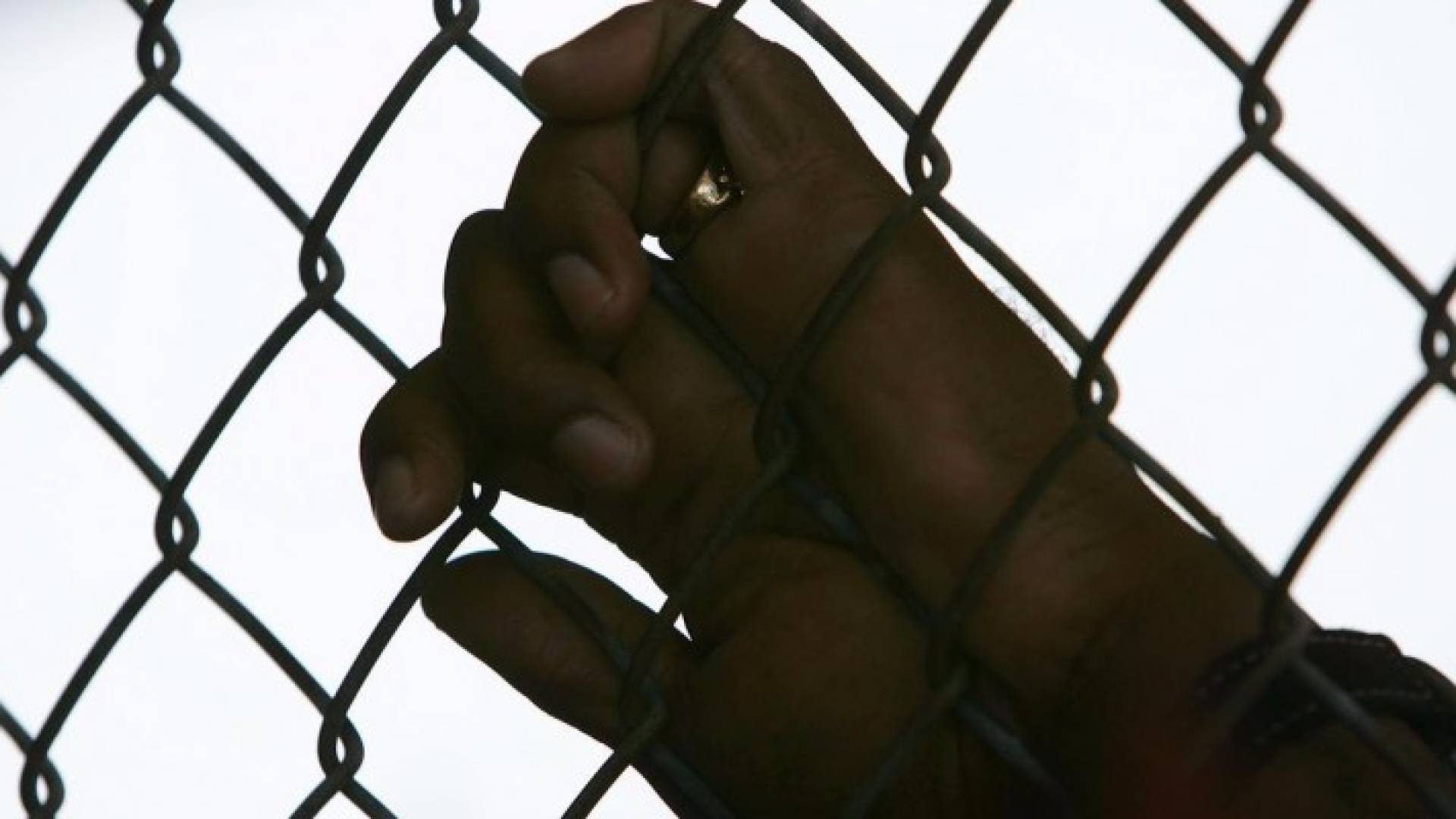 لأنه جزائري .. فلسطينية تسامح " قاتل ابنها "