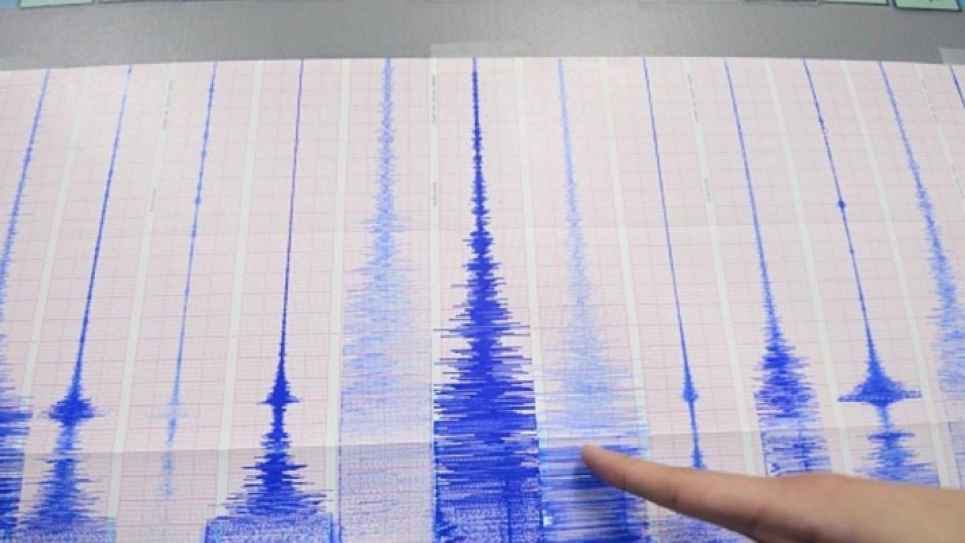 إصابة 80 شخصا بسبب زلزال بالجزائر