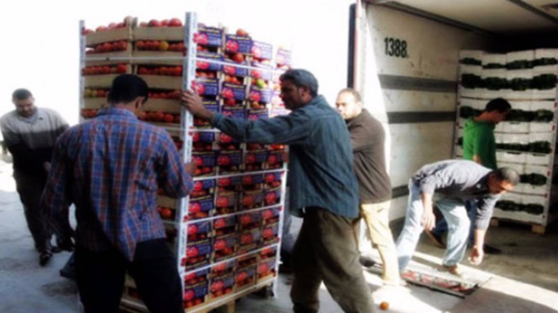 تصدير 10 الاف طن خضروات وفواكه في 3 ايام