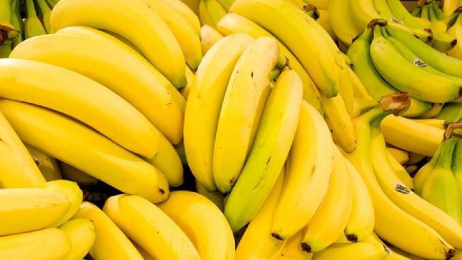 الزراعة ترفض إدخال شحنة موز وتعيدها للمصدر