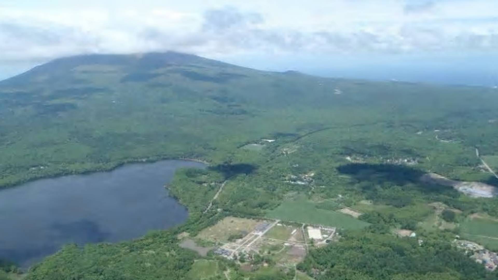 الغابة التي مشى عبرها الطفل الياباني 