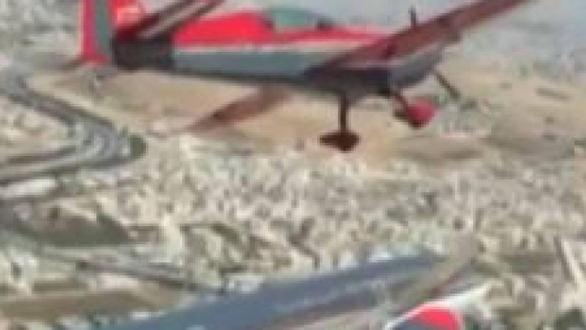 بالفيديو: الصقور الملكية وطائرة للملكية الاردنية تحلق في سماء المملكة احتفالا بالنهضة