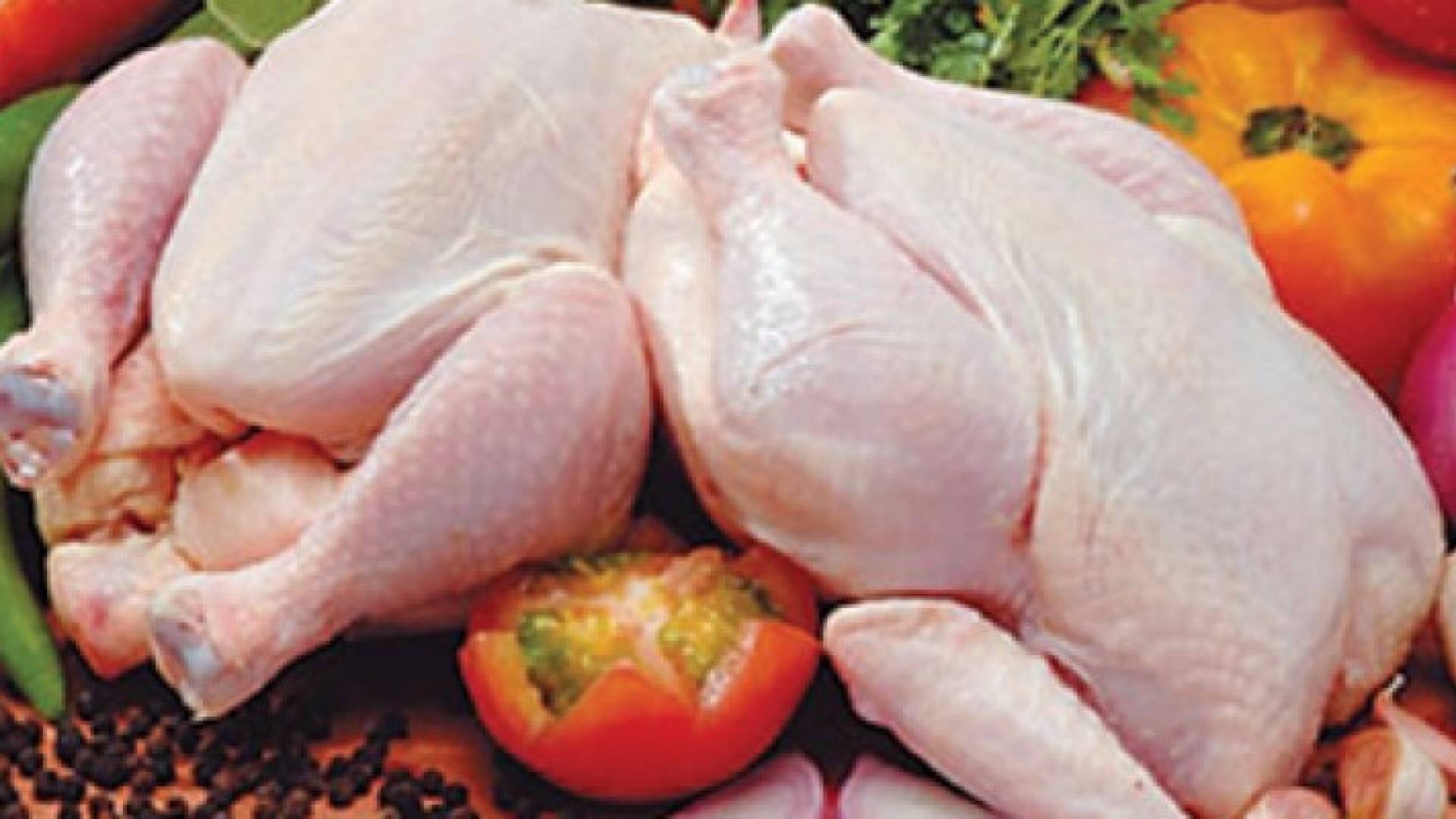 الصورة أرشيفية 