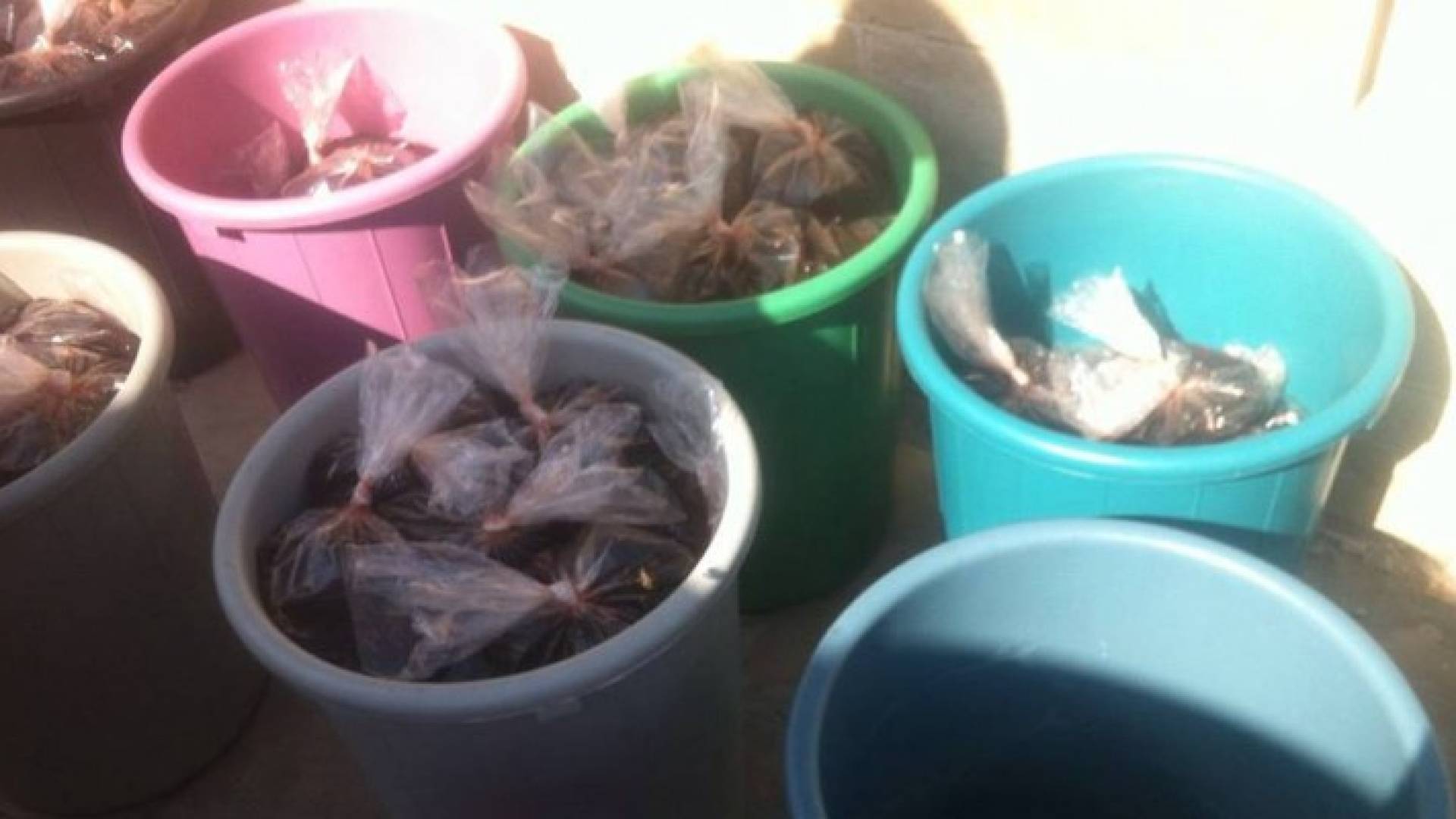 صورة المواد المتلفة