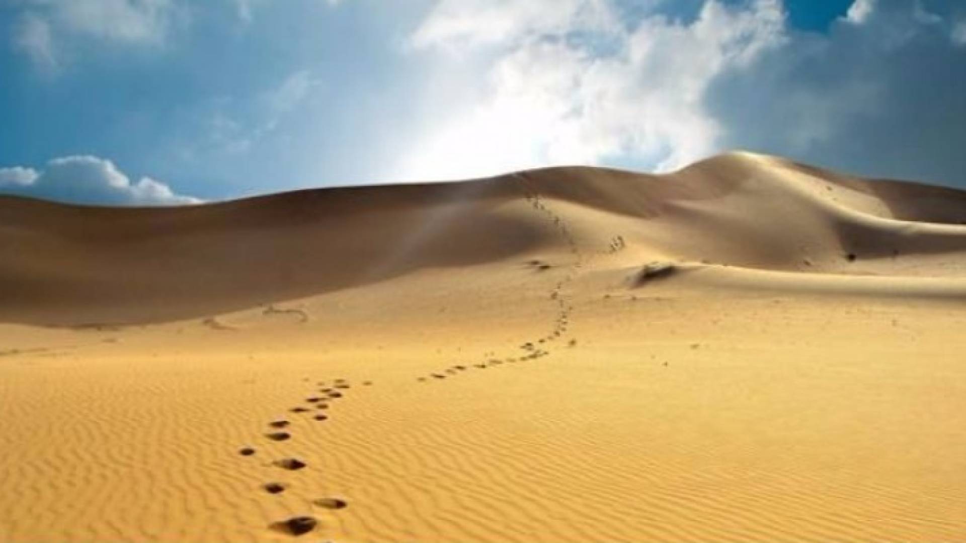 العثور على جثة ستيني تاه في الصحراء وتوفي فيها .. تفاصيل