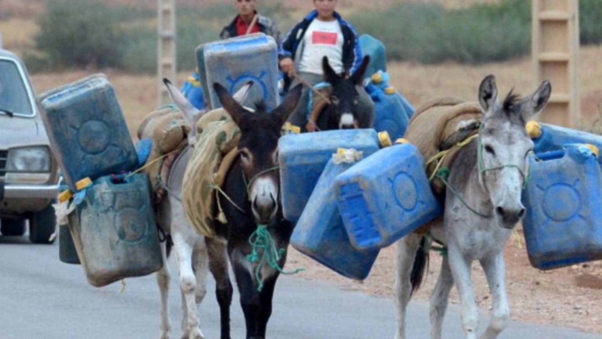 طفلين مغربيين فوق حماريهما - أرشيفية 