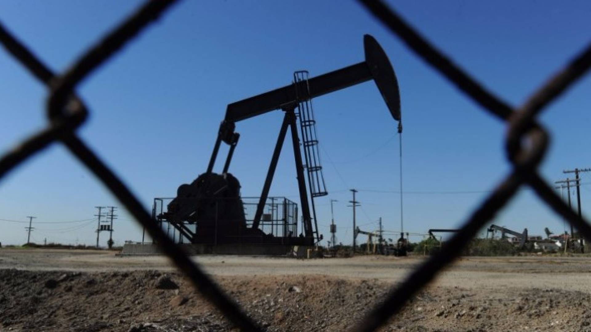 النفط يهبط دون 50 دولارا