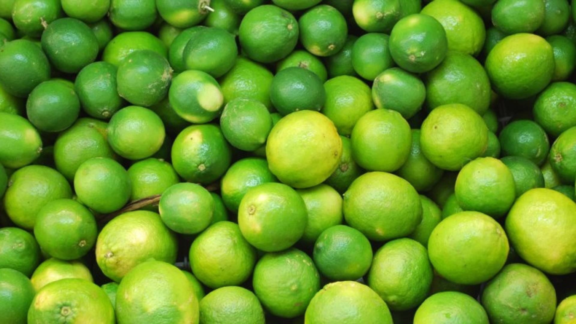 المستهلك ترجح ارتفاع اسعار الليمون الى ممارسات احتكارية