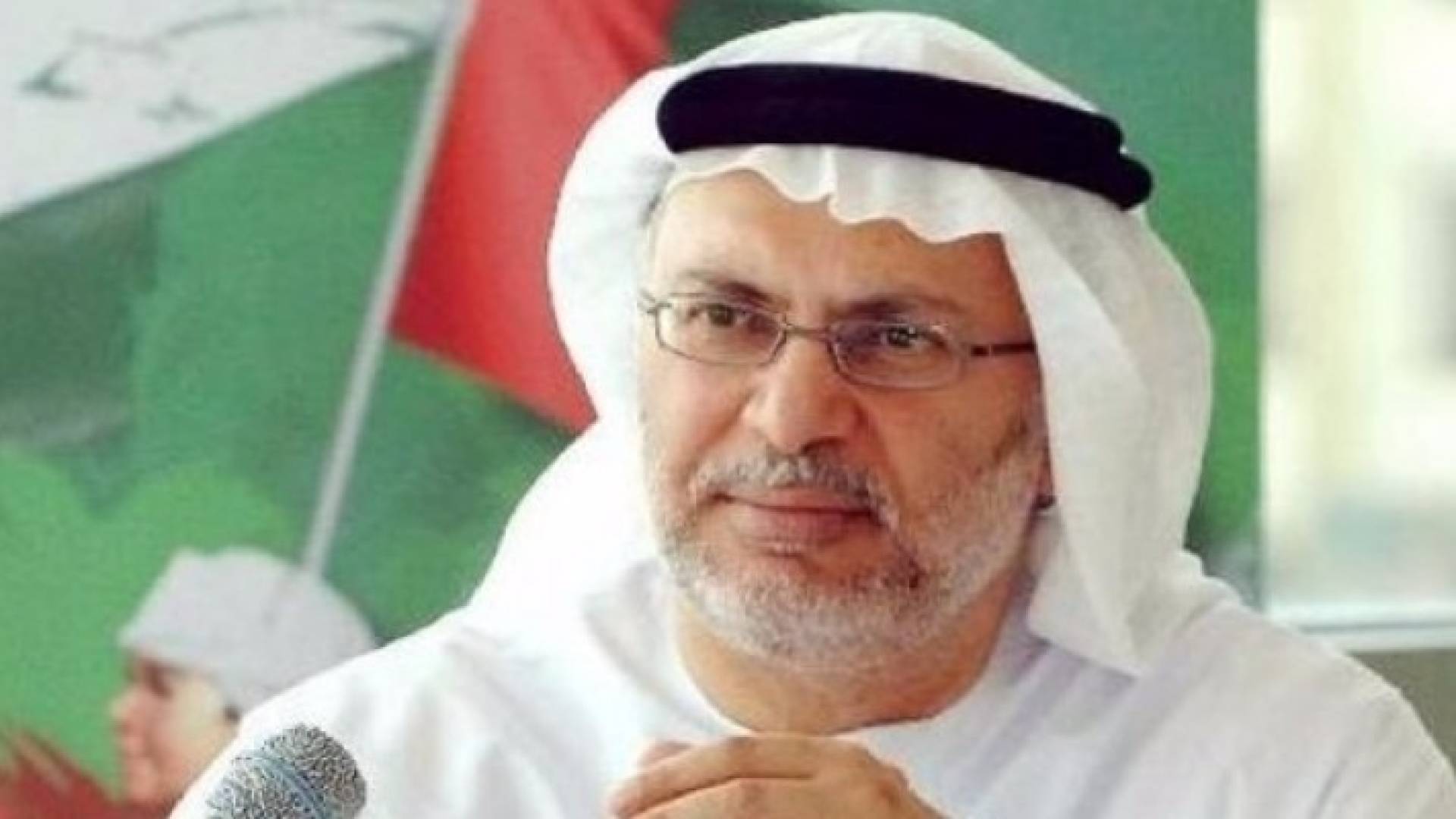 الوزير الإماراتي أنور قرقاش