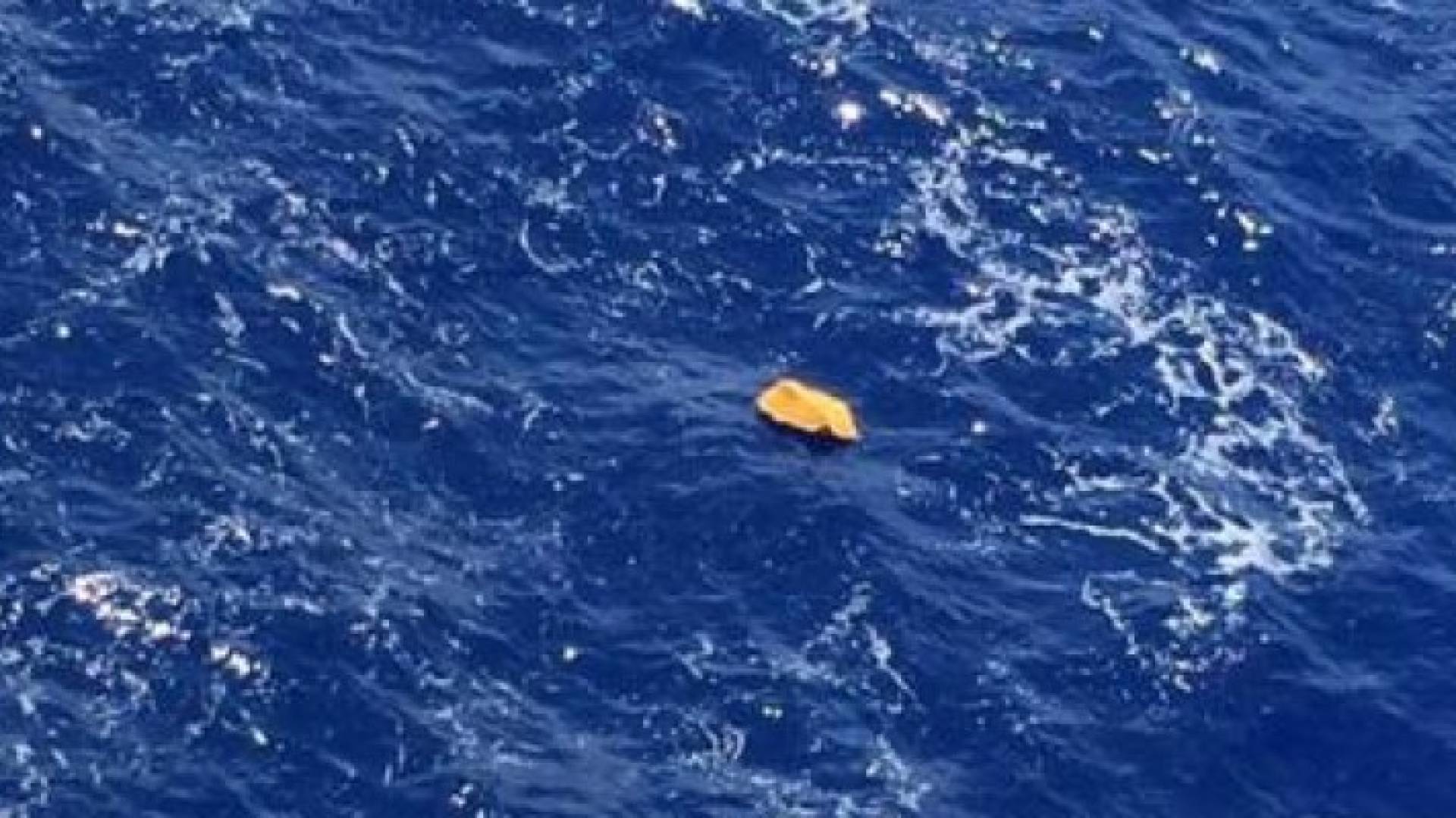 فرق البحث تستخلص وحدة التسجيل الخاصة بمحادثات قمرة القيادة للطائرة المصرية