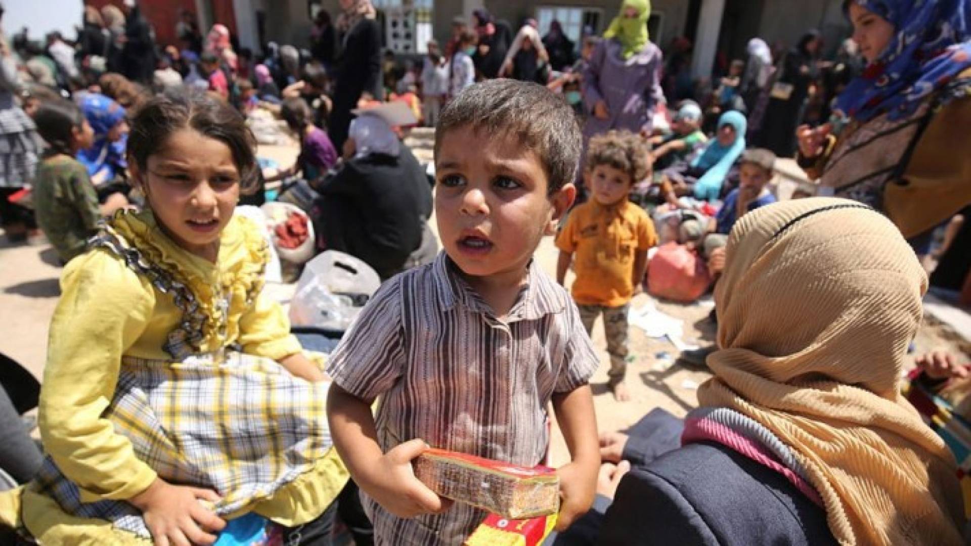 منظمة: 86 ألفا نزوحوا عن الفلوجة