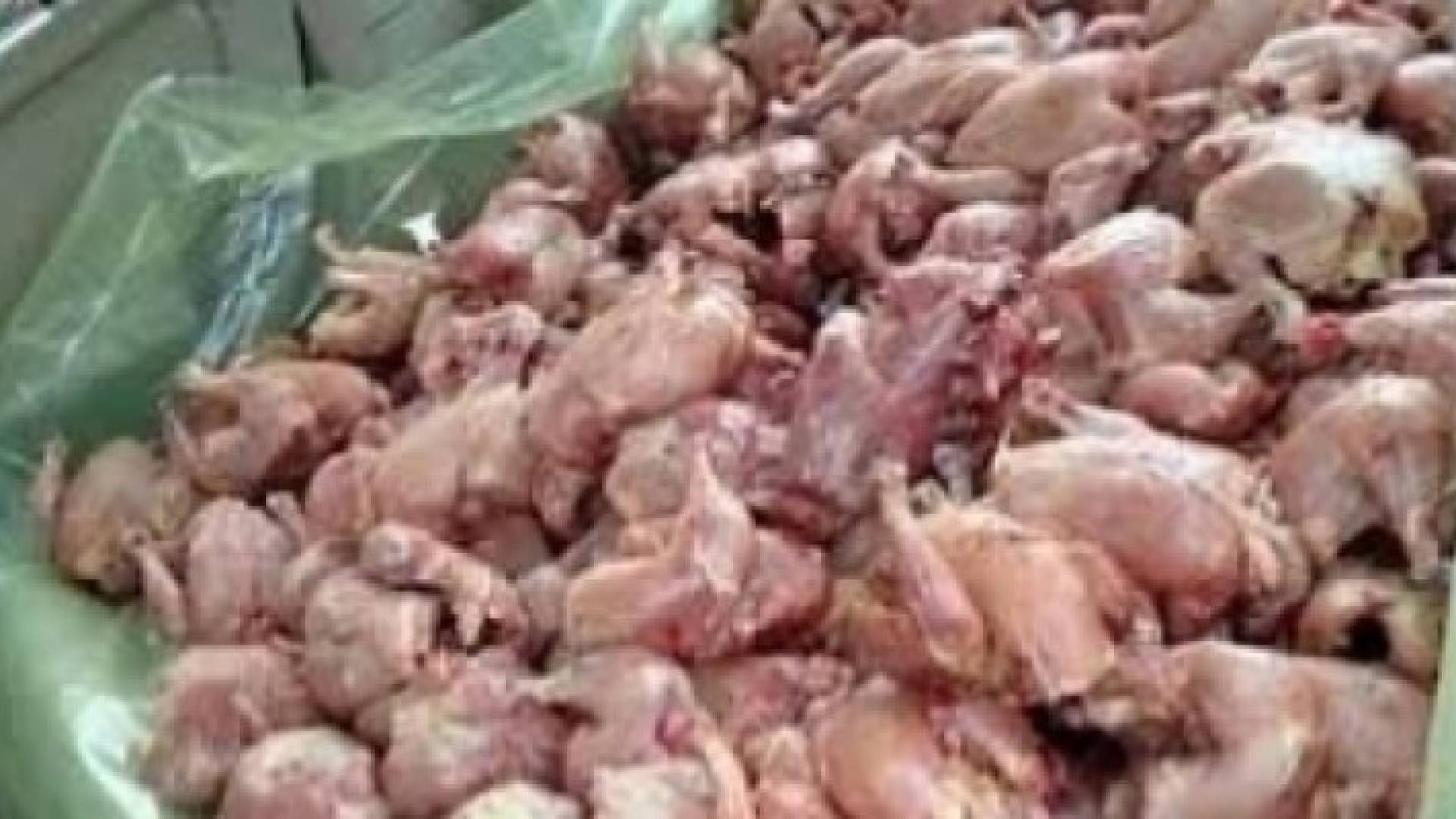 الصورة تعبيرية