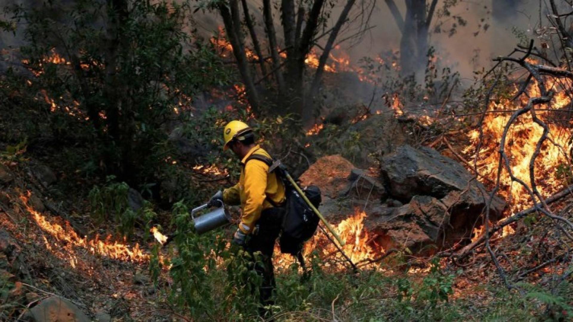 أميركا.. تحذيرات من حرائق بسبب موجة حر غير مسبوقة