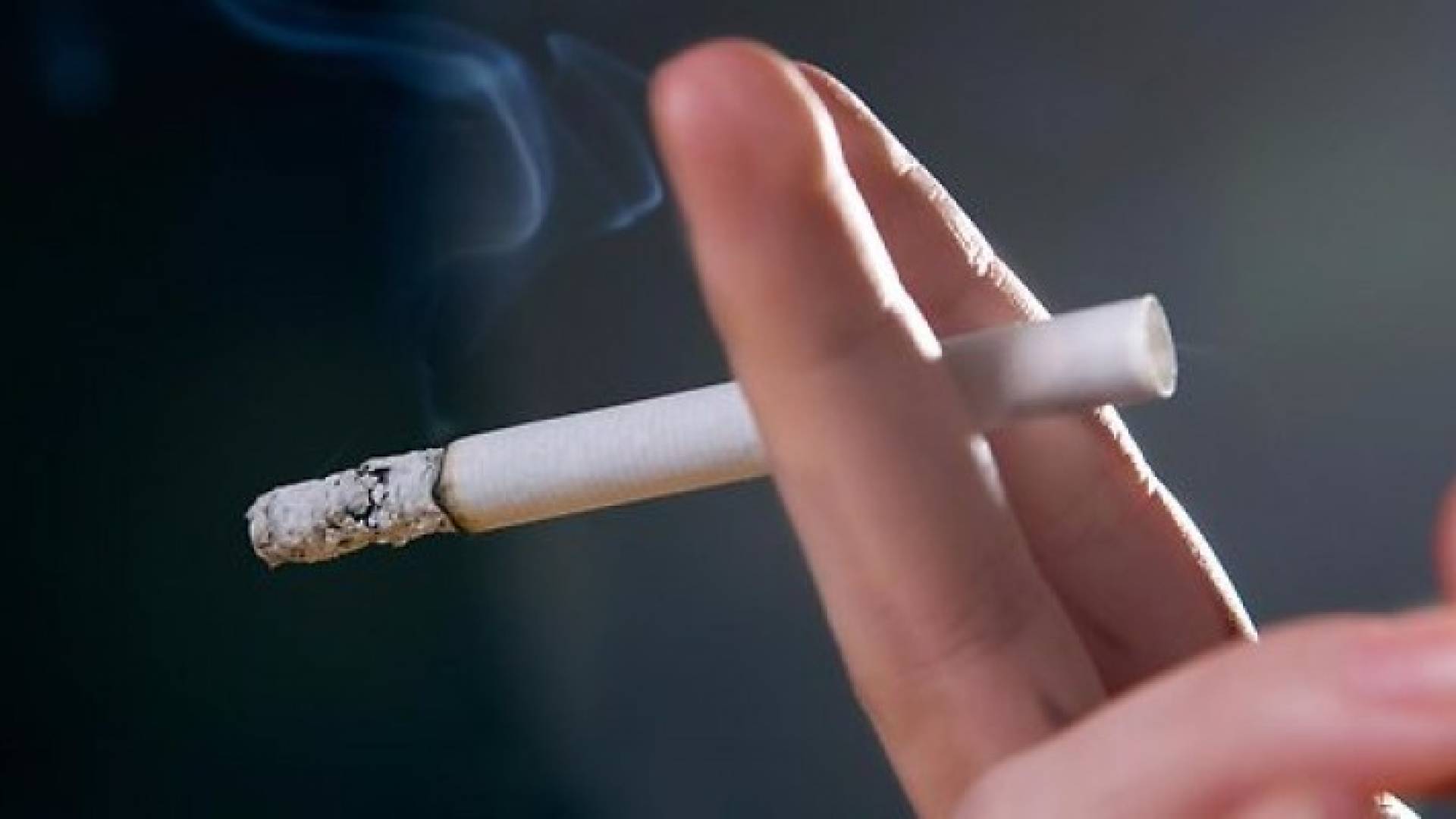 رفع الدخان 5 قروش للعلبة وتعديل رسوم نقل ملكية المركبات