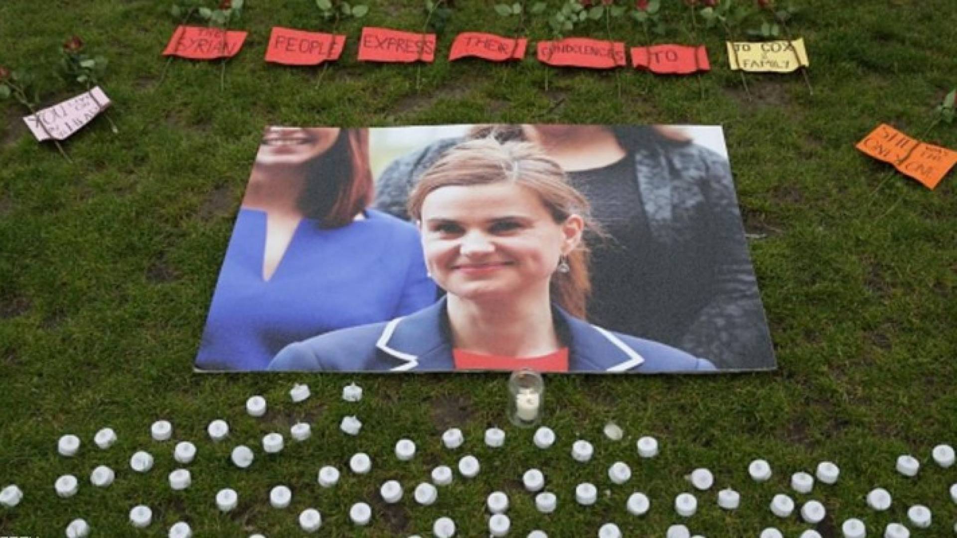  المقترح يأتي في أعقاب مقتل النائبة جو كوكس