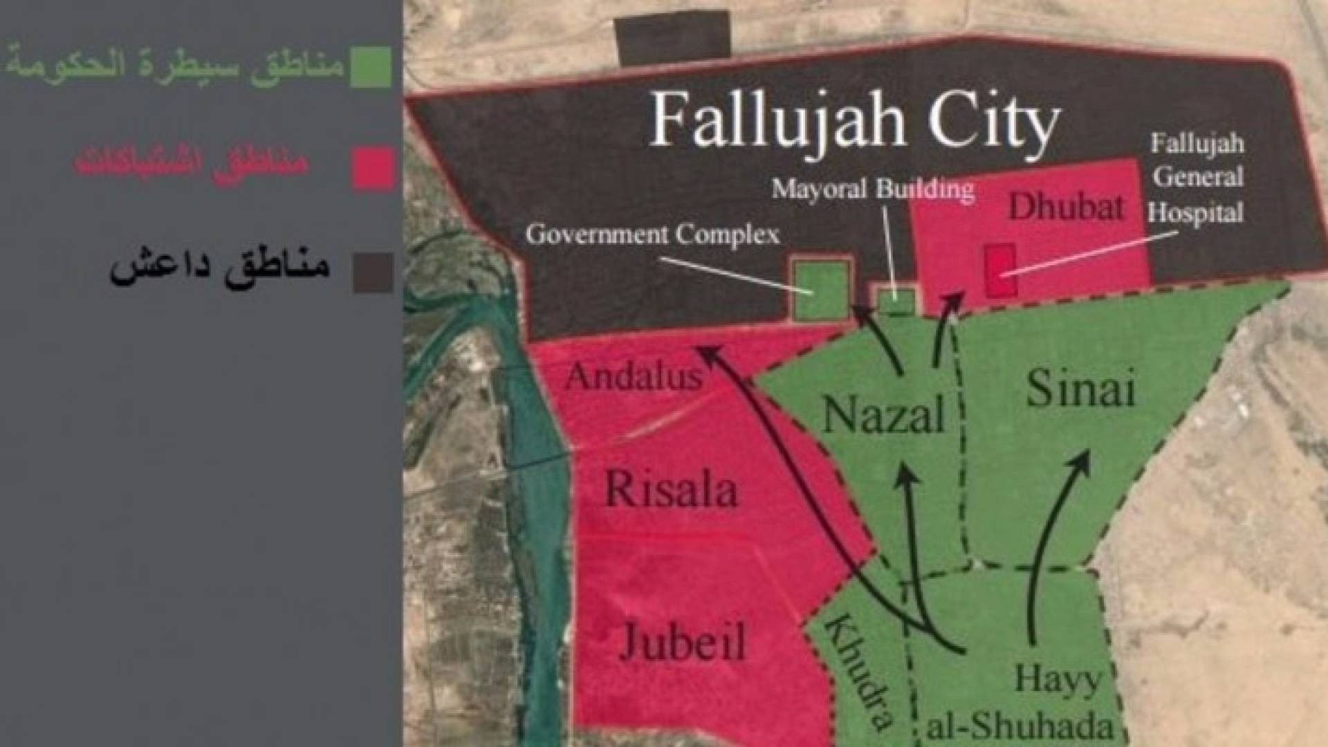التحالف الدولي: الجيش العراقي لم يحرر سوى ثلث الفلوجة