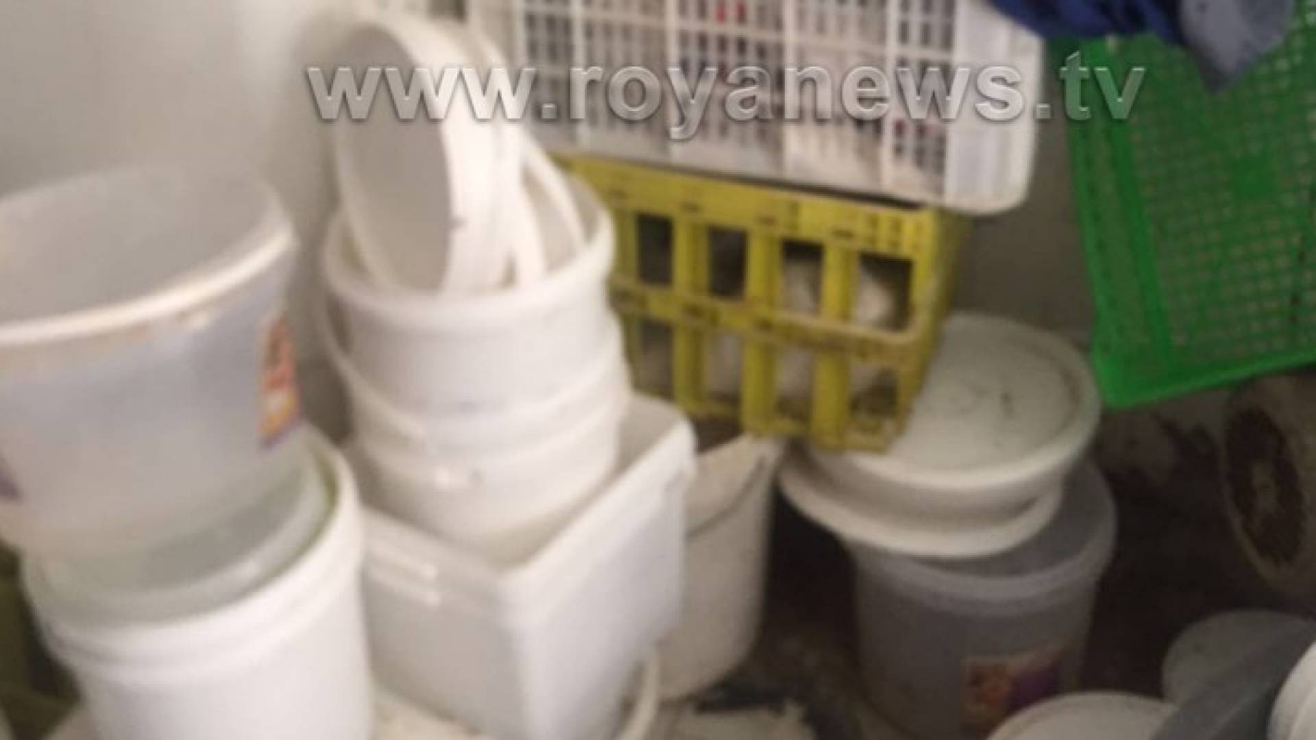 شاهد بالفيديو : الغذاء والدواء تغلق مصنع ألبان وأربعة من فروعه وتتلف محتوياتها .. تفاصيل