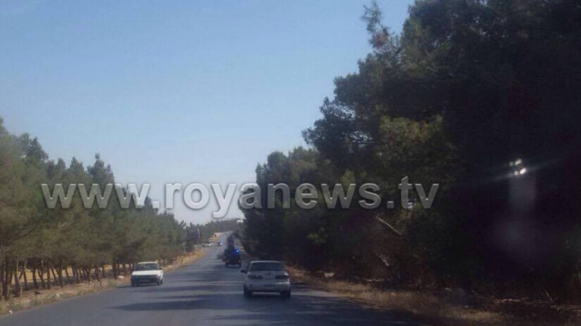 الاحداث في ذيبان