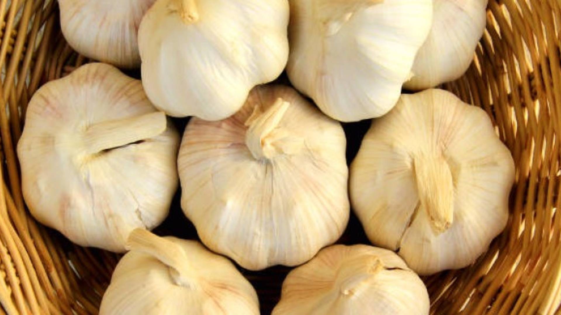 ماذا تفعل حبات الثوم بجسمك إذا تناولتها صباحا؟