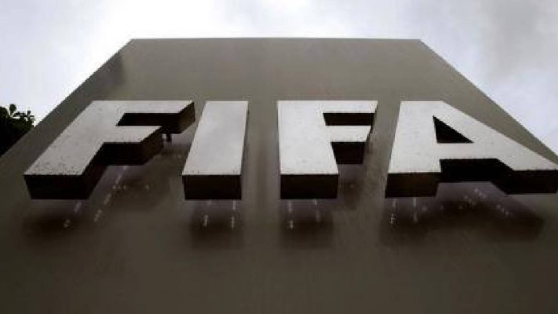 الفيفا يعين لجنة خاصة لإدارة الاتحاد الأرجنتيني لكرة القدم