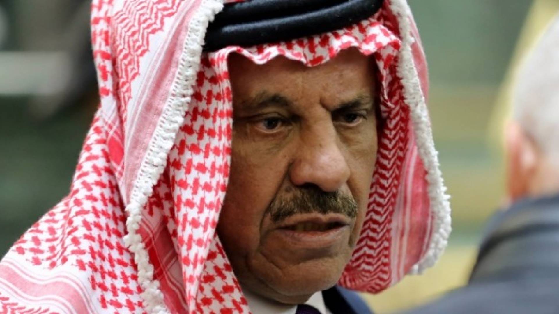 وزير الداخلية سلامة حماد 