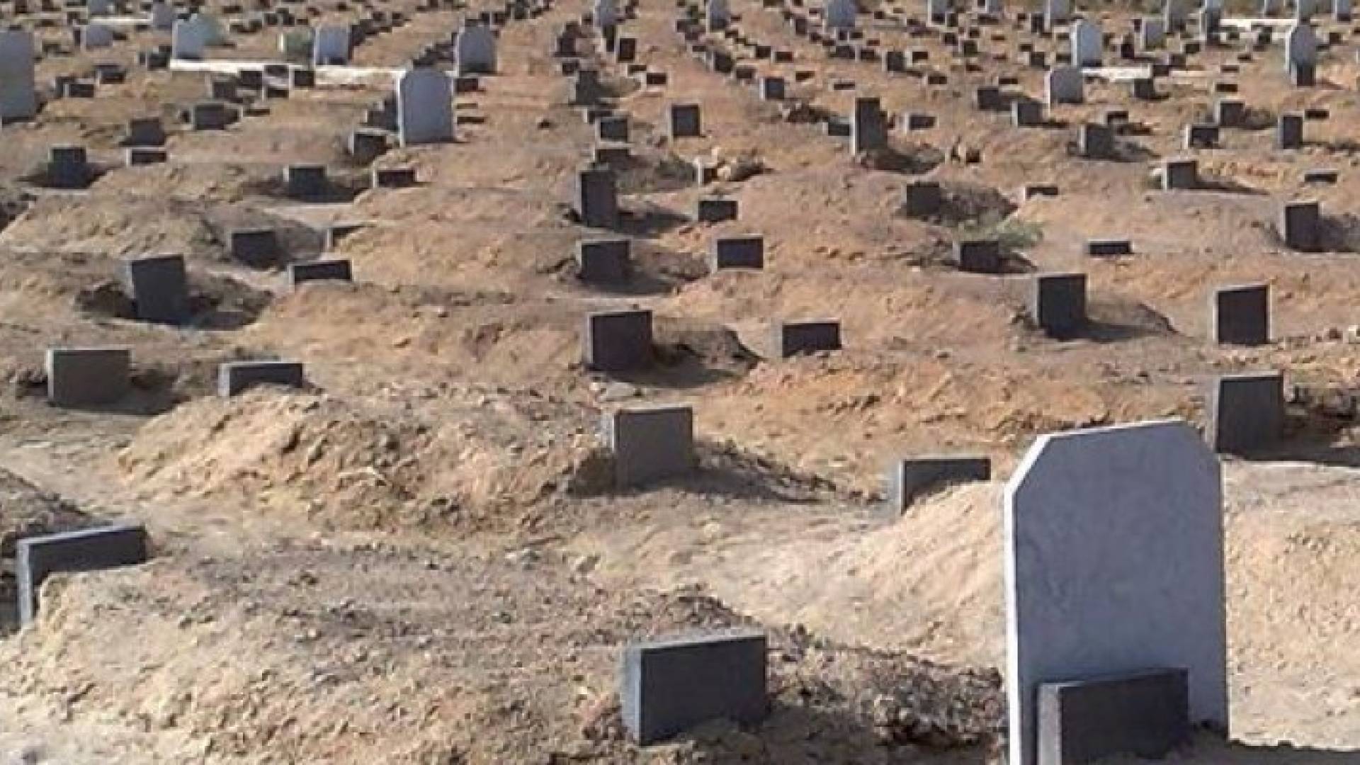 لا رفع لأسعار القبور .. تفاصيل