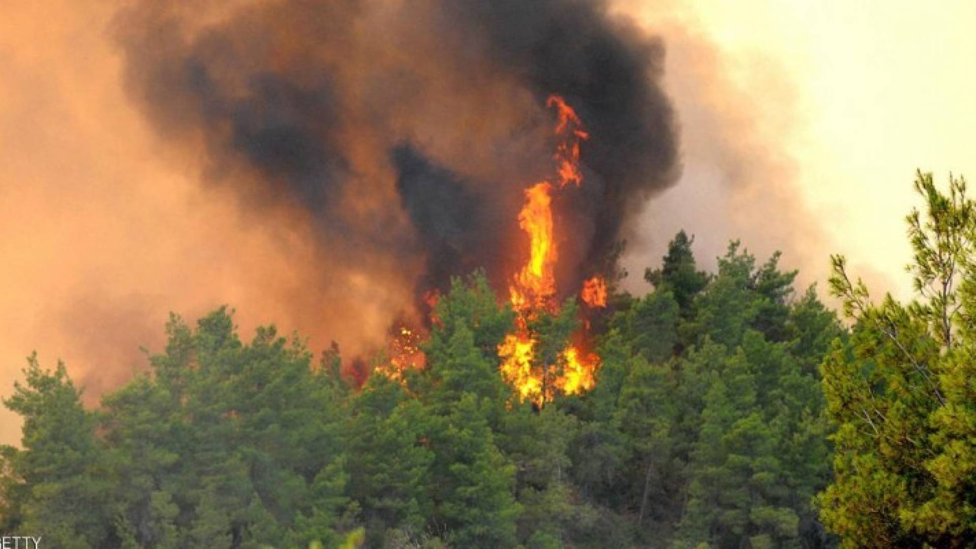 حرائق غابات تهدد منتجعات أنطاليا التركية