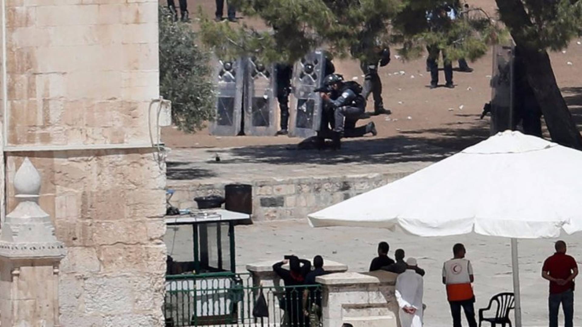 35 إصابة باقتحام الاحتلال المسجد الأقصى