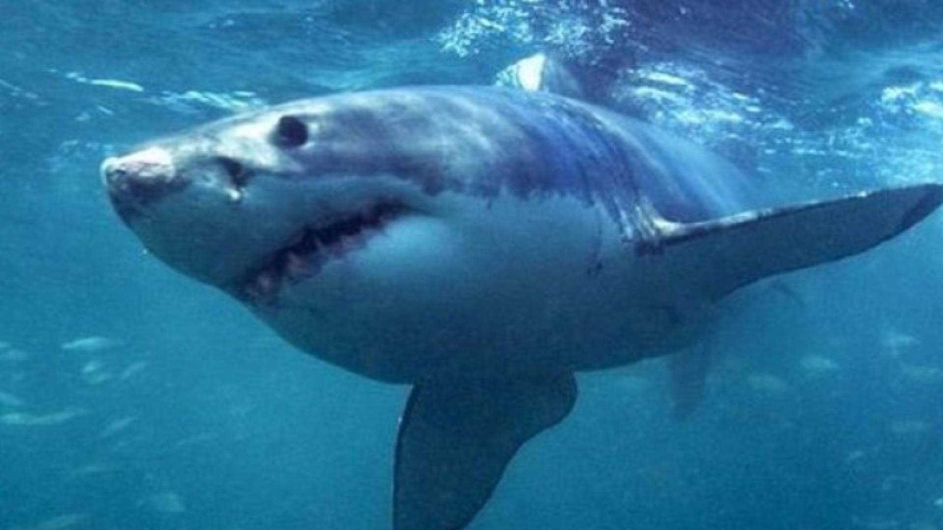 الصورة أرشيفية 