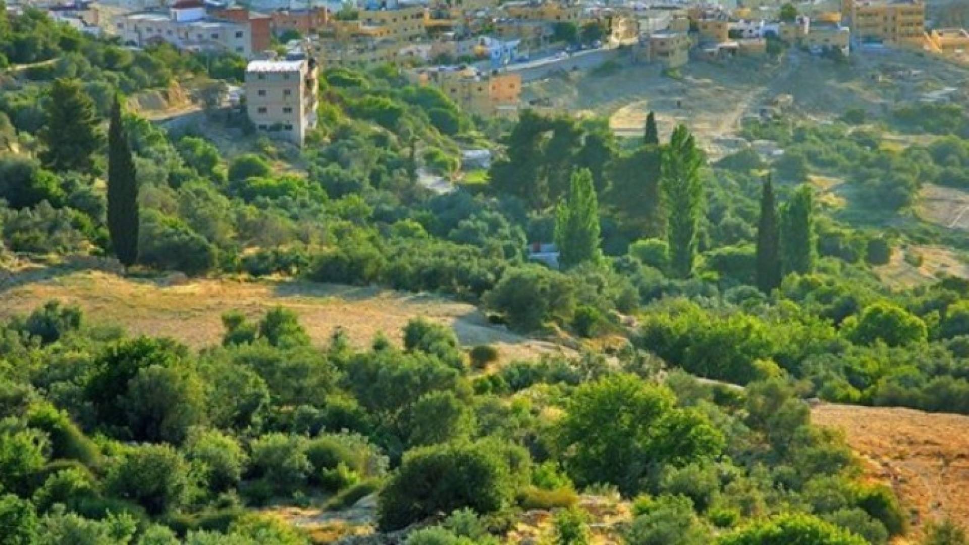 الأربعاء: ارتفاع بسيط على درجات الحرارة