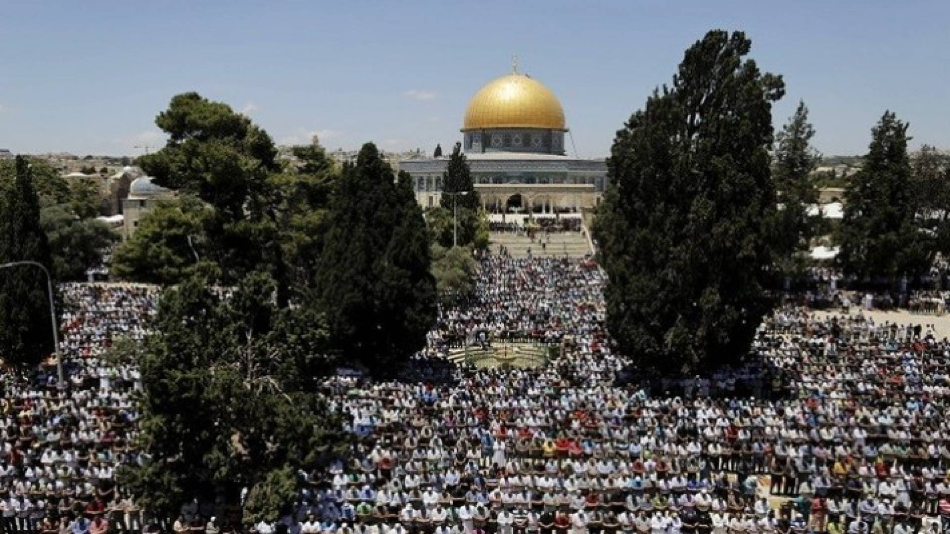 الصورة ارشيفية