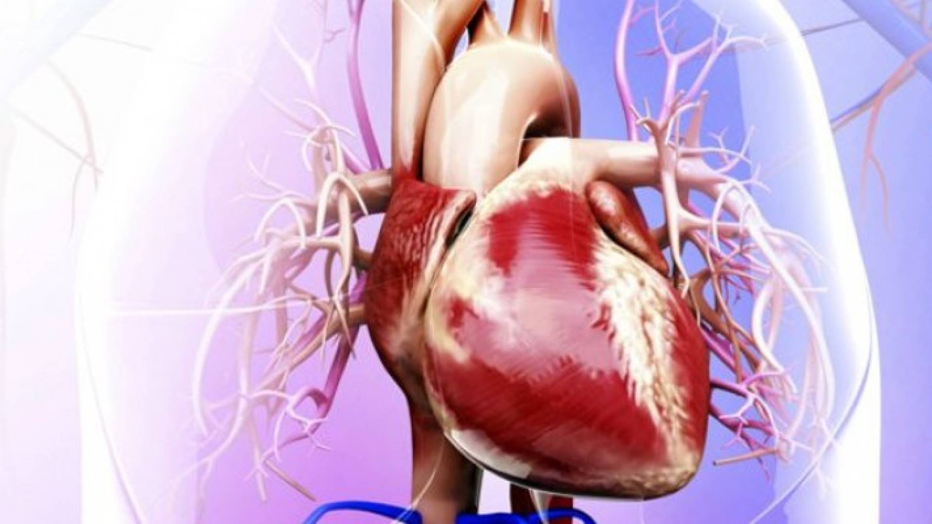 أمراض القلب ما زالت - وستبقى - اهم سبب للوفاة في الولايات المتحدة