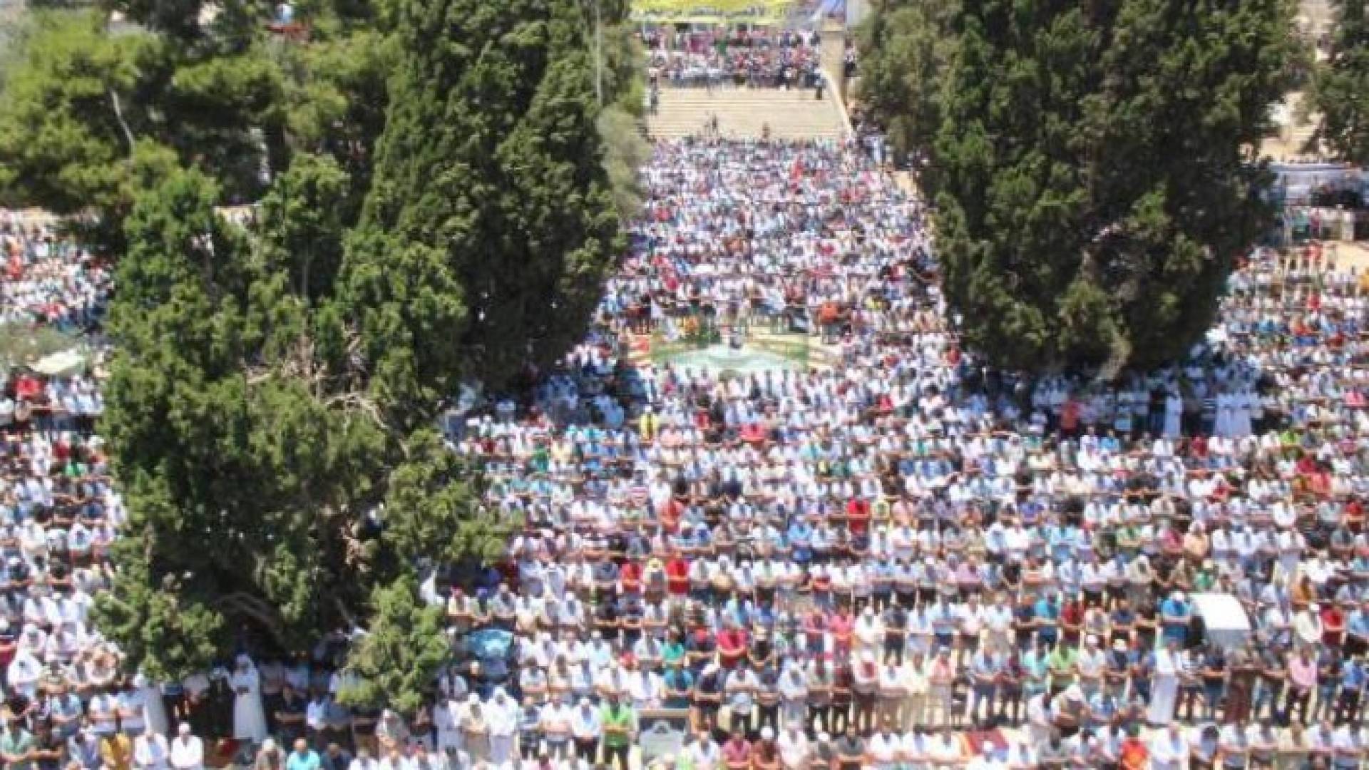 الصورة تعبيرية