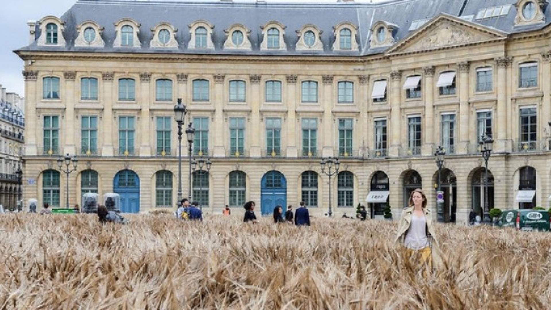 بالصور.. في قلب باريس "شانيل" تزرع حقل قمح