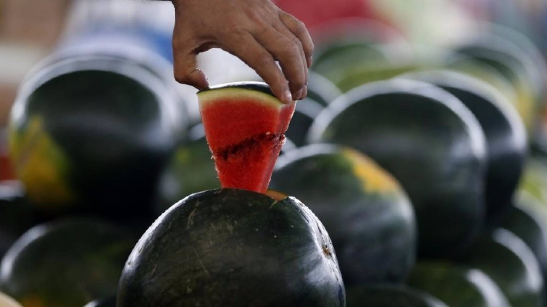 البطيخ.."قاهر الحر"