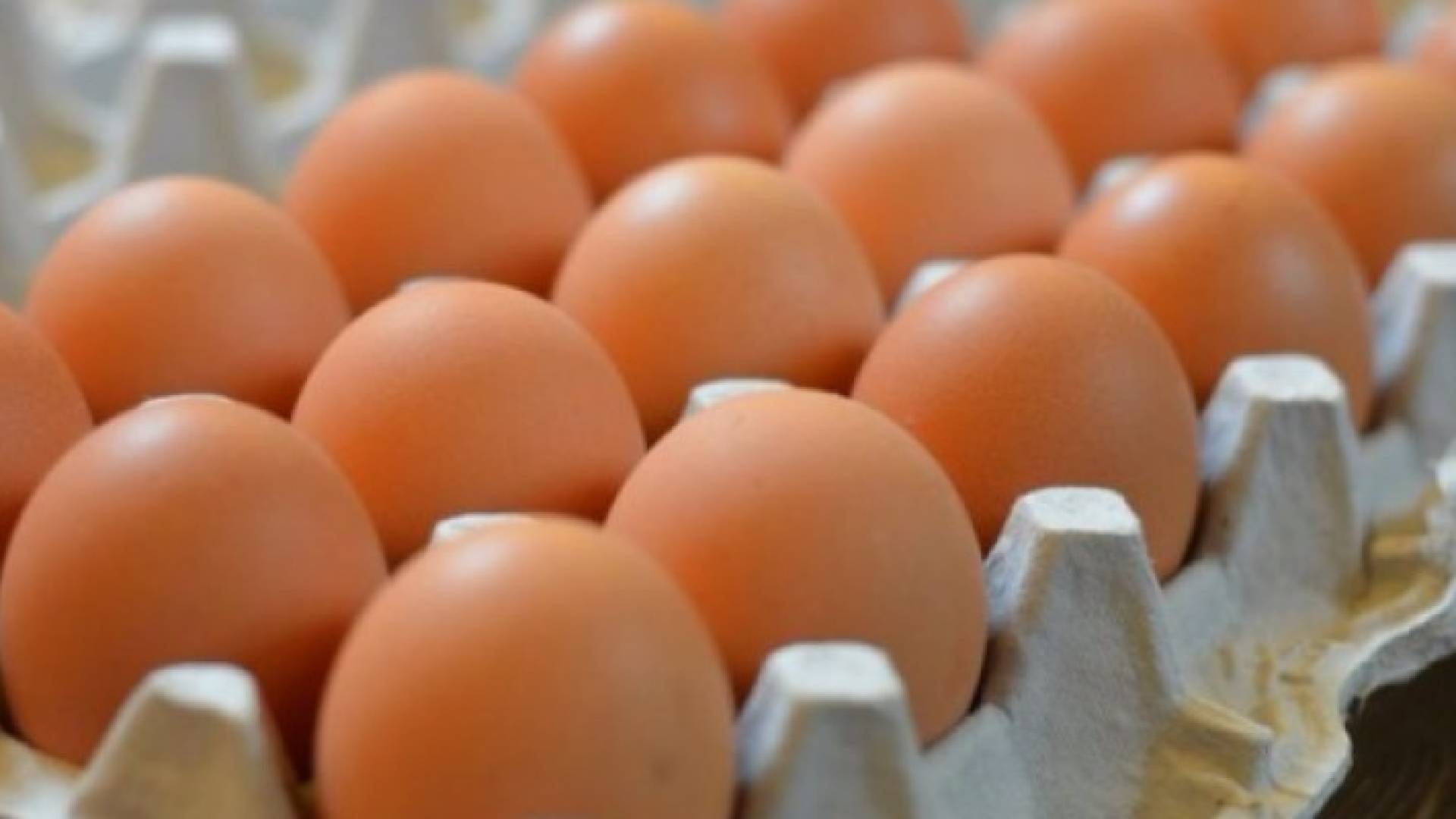 فوائد مذهلة لقشر البيض