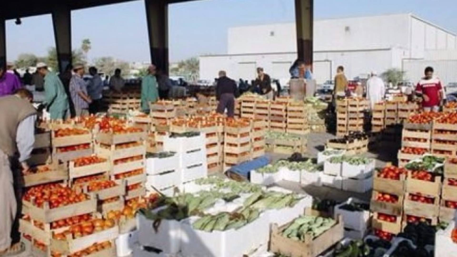100 ألف طن صادرات الخضار والفواكه خلال حزيران