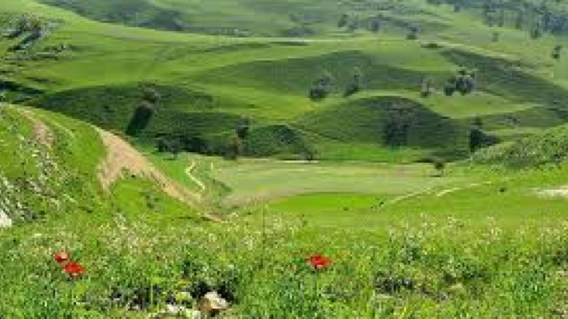 طقس الإثنين: أجواء صيفية معتدلة نهارا ولطيفة رطبة ليلا