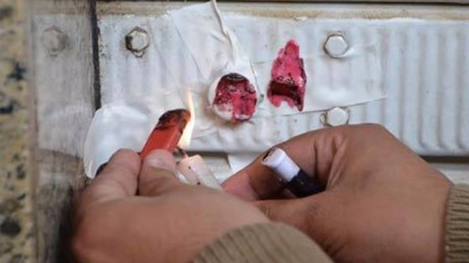 إغلاق 659 مؤسسة غذائية في حزيران