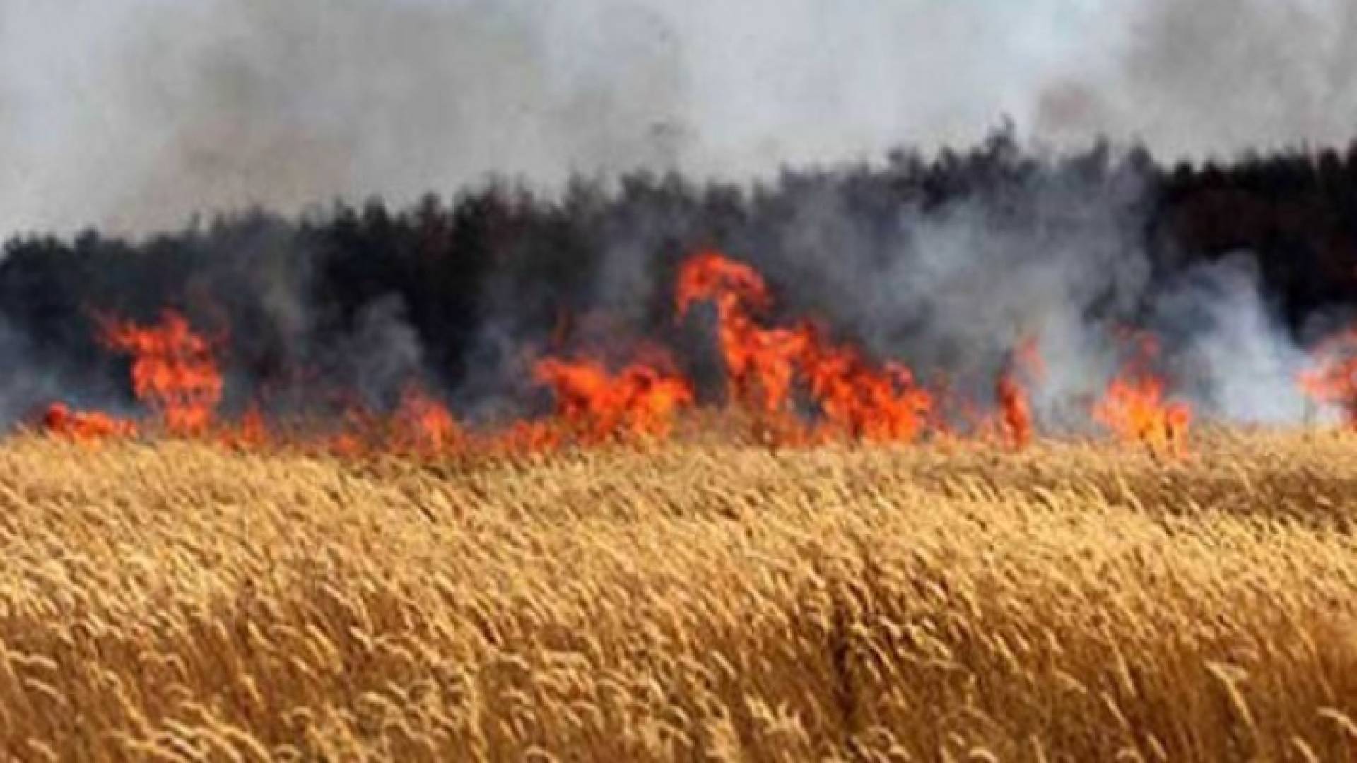 الصورة ارشيفية