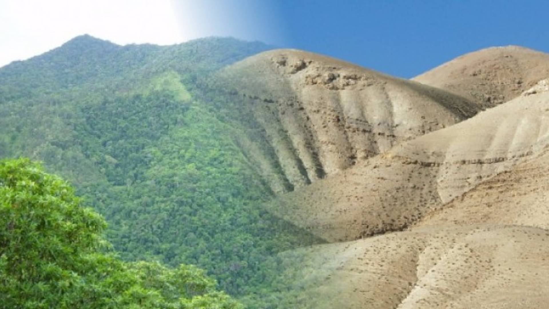 كيف يؤثر الغطاء النباتي والمائي على درجات الحرارة ؟