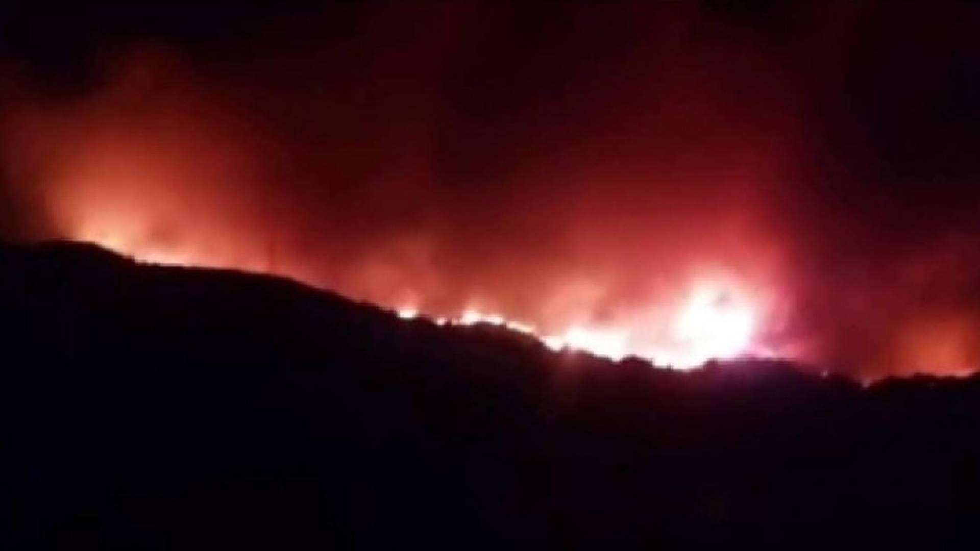 حريق كبير في ولاية بومرداس الجزائرية