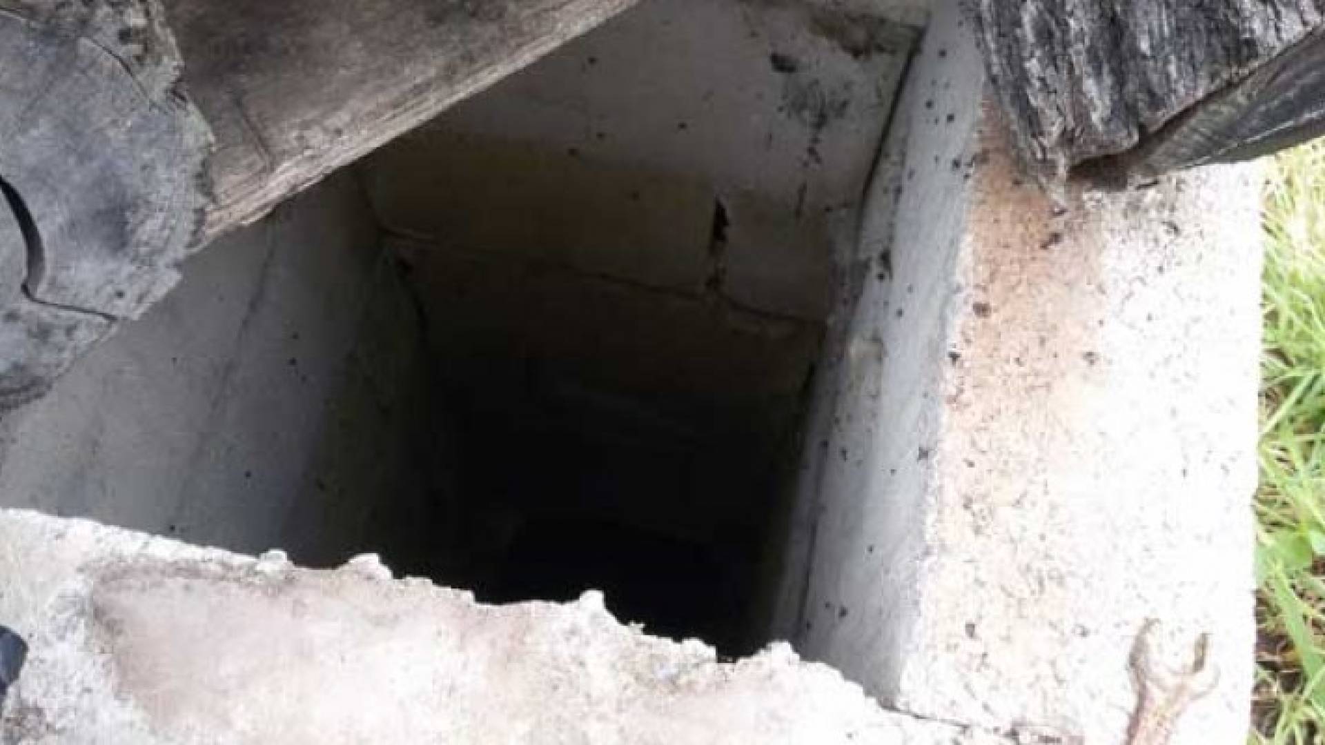 الصورة تعبيرية