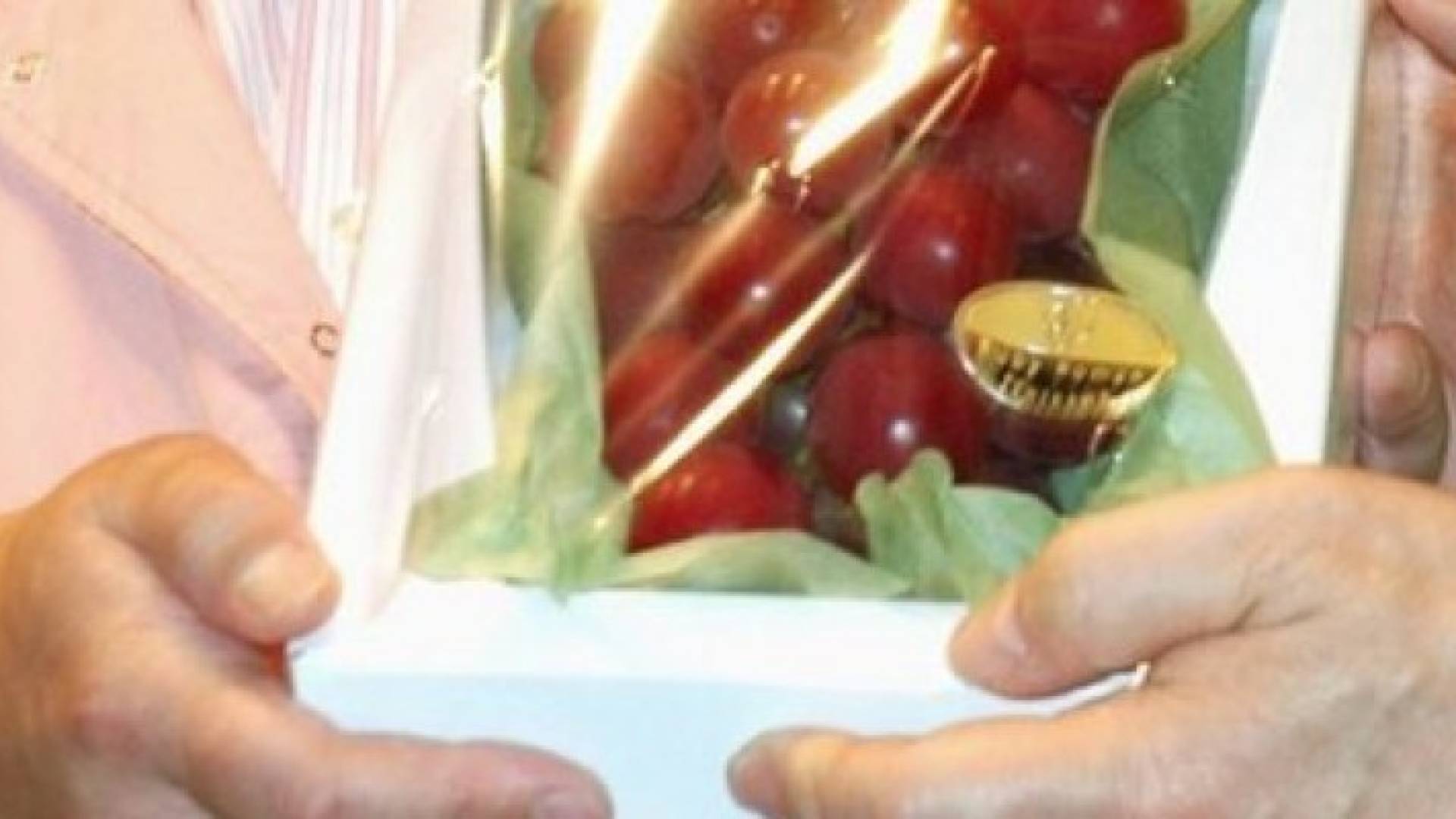 عنقود عنب في اليابان بـ11 ألف دولار.. وثمن الحبة 350 دولارا.. تعرف على السبب