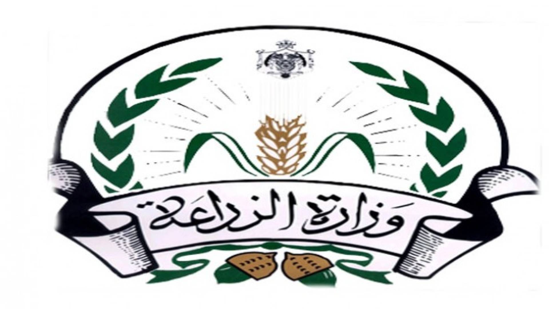 الخوالدة يؤكد عزم الوزارة حل مشكلة التصدير للقطاع الزراعي