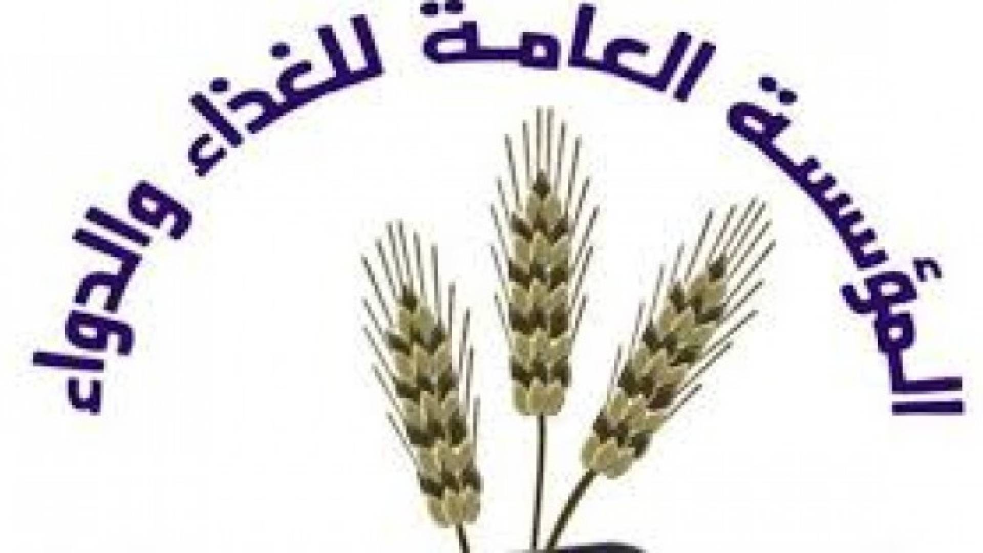 الصورة أرشيفية 